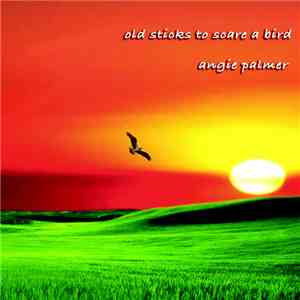 Angie Palmer - Old Sticks To Scare A Bird download mp3 flac