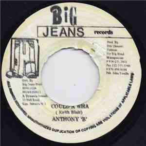 Anthony 'B' - Could A Wha download mp3 flac