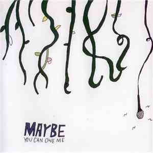 Architecture In Helsinki - Maybe You Can Owe Me download mp3 flac