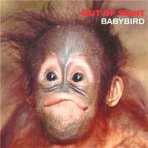 Babybird - Out Of Sight download mp3 flac