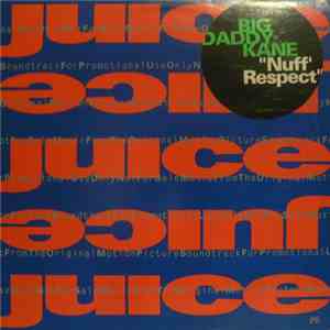Big Daddy Kane - Nuff Respect download mp3 flac