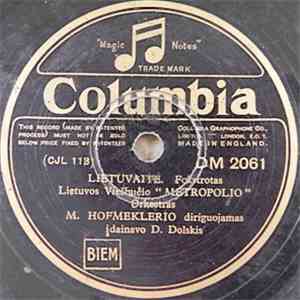 D. Dolskis - Lietuvaitė / Leisk Man download mp3 flac