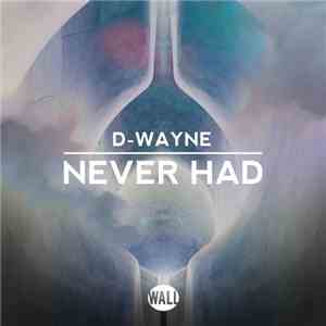 D-Wayne - Never Had download mp3 flac