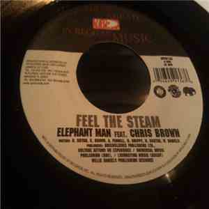 Elephant Man Feat. Chris Brown  - Feel The Steam download mp3 flac