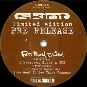 Fatboy Slim - Everybody Loves A 303 download free