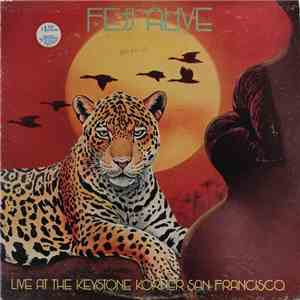 Fejj Alive - Live At The Keystone Korner San Francisco download mp3 flac
