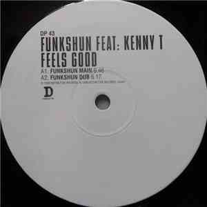 Funkshun Feat. Kenny T - Feels Good download mp3 flac