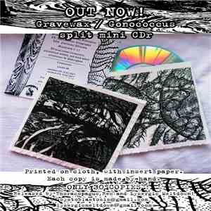 Gonococcus, Gravewax - Gravewax  Gonococcus split download free