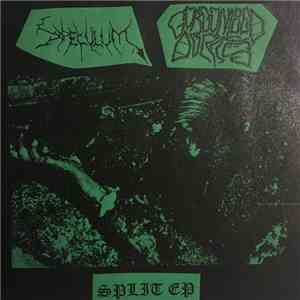 Gorgonized Dorks / Speculum  - Split EP download mp3 flac