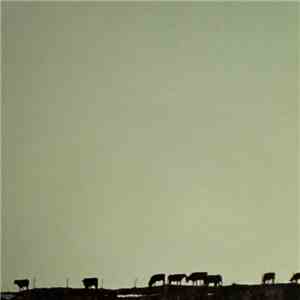 Idiot Wind - Find The Rhythm In The Noise download free