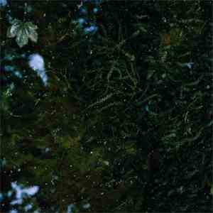 Jake Downs - Fracture download free