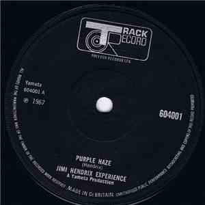 Jimi Hendrix Experience - Purple Haze / 51st Anniversary download mp3 flac