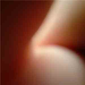 Kampsindaja - Chavia download mp3 flac