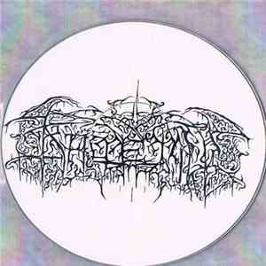 Kältetod - Promo Frühjahr 2004 download mp3 flac