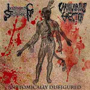 Lymphatic Secretion, Carnivorous Erection - Anatomically Disfigured download free
