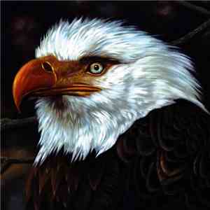 Mogwai - The Hawk Is Howling download mp3 flac