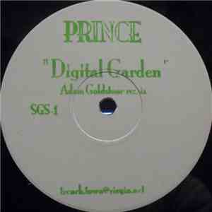 Prince - Digital Garden (Adam Goldstone Remix) download mp3 flac
