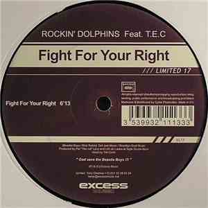Rockin' Dolphins Feat. T.E.C - Fight For Your Right download mp3 flac