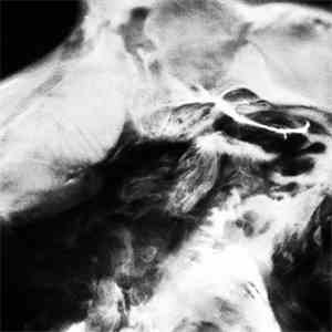 SaffronKeira - A New Life download mp3 flac