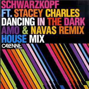 Schwarzkopf  Ft. Stacey Charles - Dancing In The Dark download mp3 flac