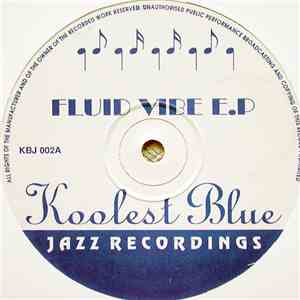 Soft Sugar - Fluid Vibe E.P download mp3 flac