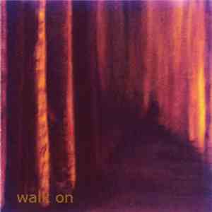 Steve Morrison - Walk On download mp3 flac