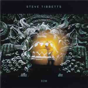 Steve Tibbetts - The Fall Of Us All download mp3 flac