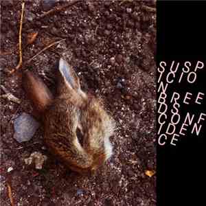 Suspicion Breeds Confidence - The Pink Carpet download free