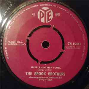 The Brook Brothers - Just Another Fool download mp3 flac