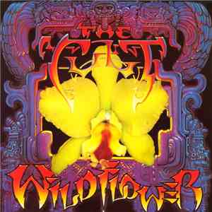The Cult - Wild Flower download mp3 flac
