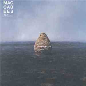 The Maccabees - Pelican download mp3 flac