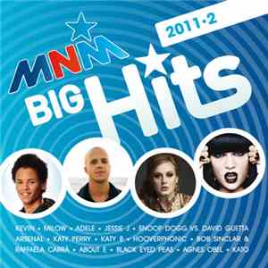 Various - MNM Big Hits 2011•2 download free
