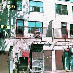 Young Governor - Where It's Quiet download mp3 flac